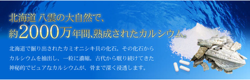 八雲風化貝カルシウム公式サイト