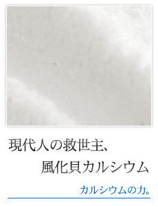 現代人の救世主、風化貝カルシウム