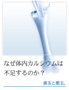 なぜ体内のカルシウムは不足するのか？ 八雲風化貝カルシウム資料